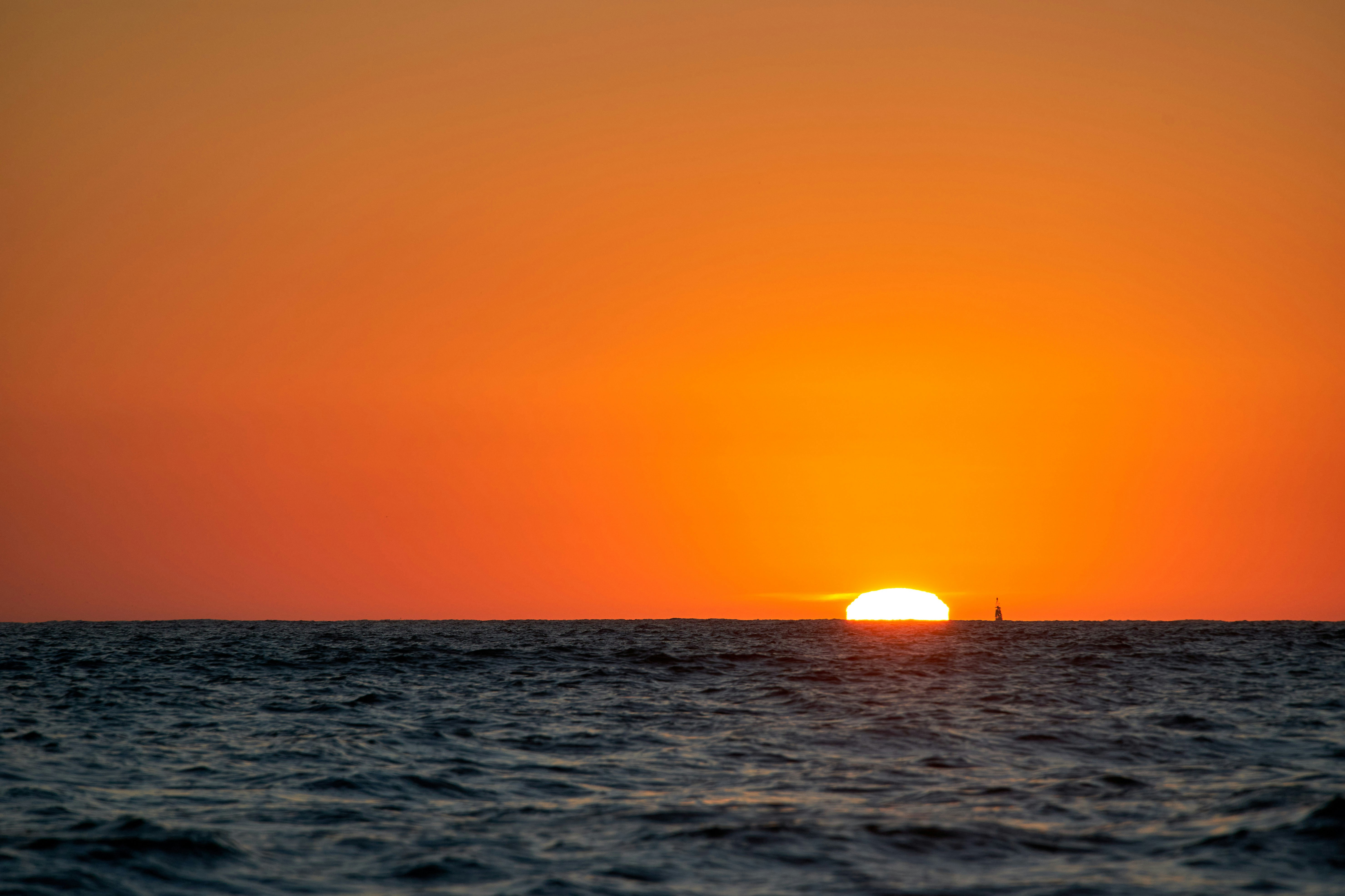 Photo by wolfgang_hasselmann