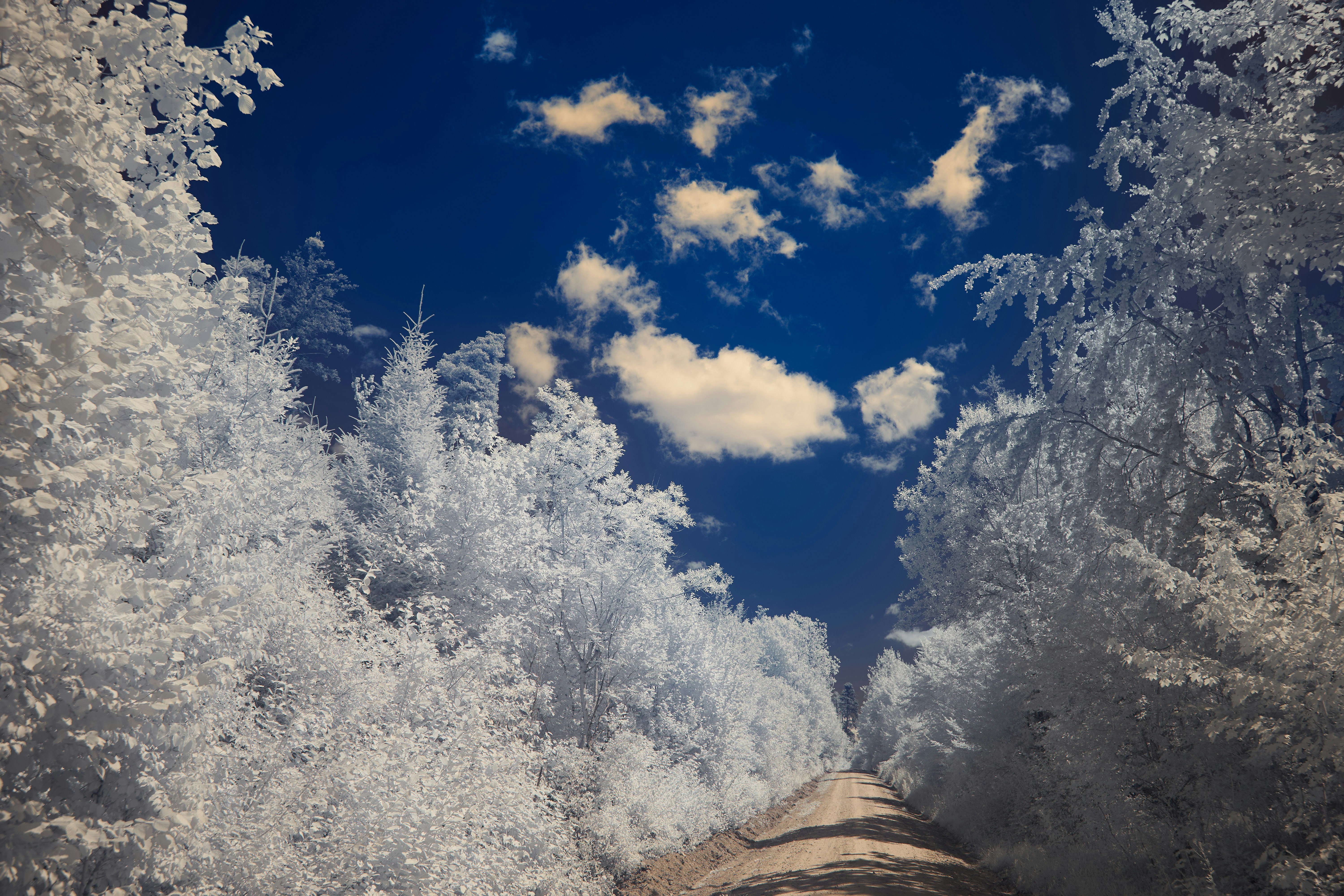 Photo by wolfgang_hasselmann