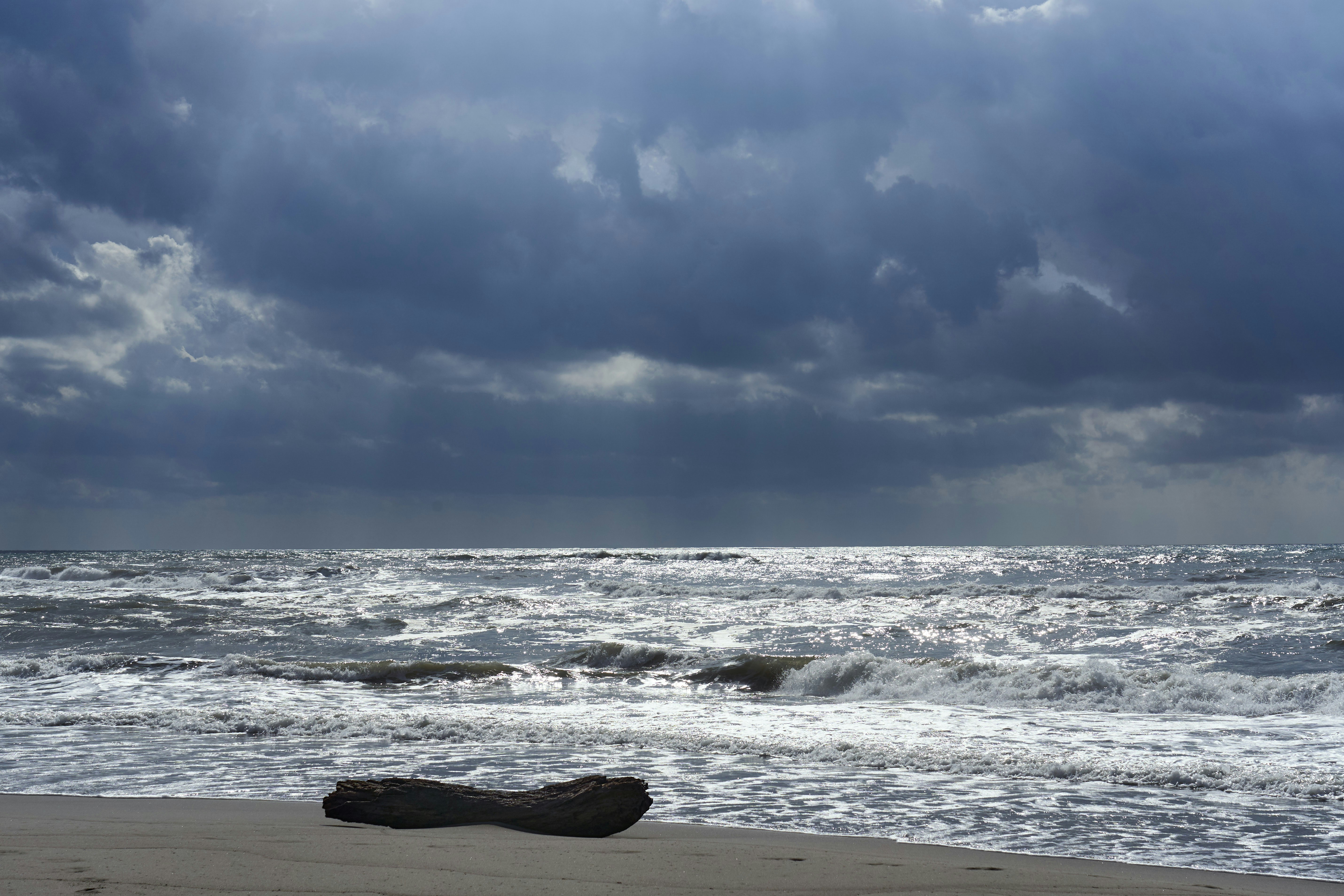 Photo by wolfgang_hasselmann