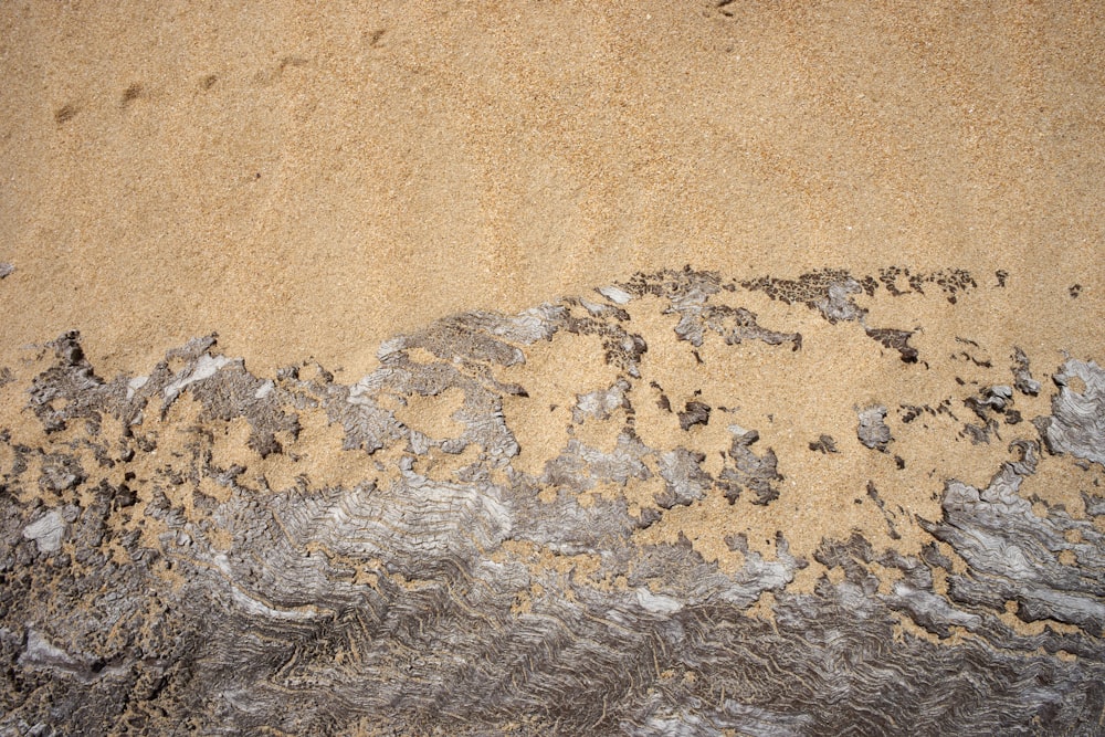 brown sand with white stones