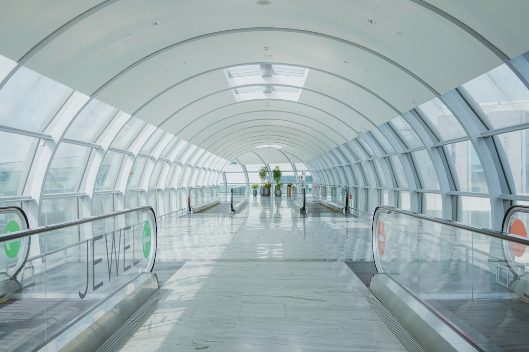 A Traveler’s Crime At Singapore’s Airport:Don't Do the Crime if You… — A Traveler’s Crime At Singapore’s Airport