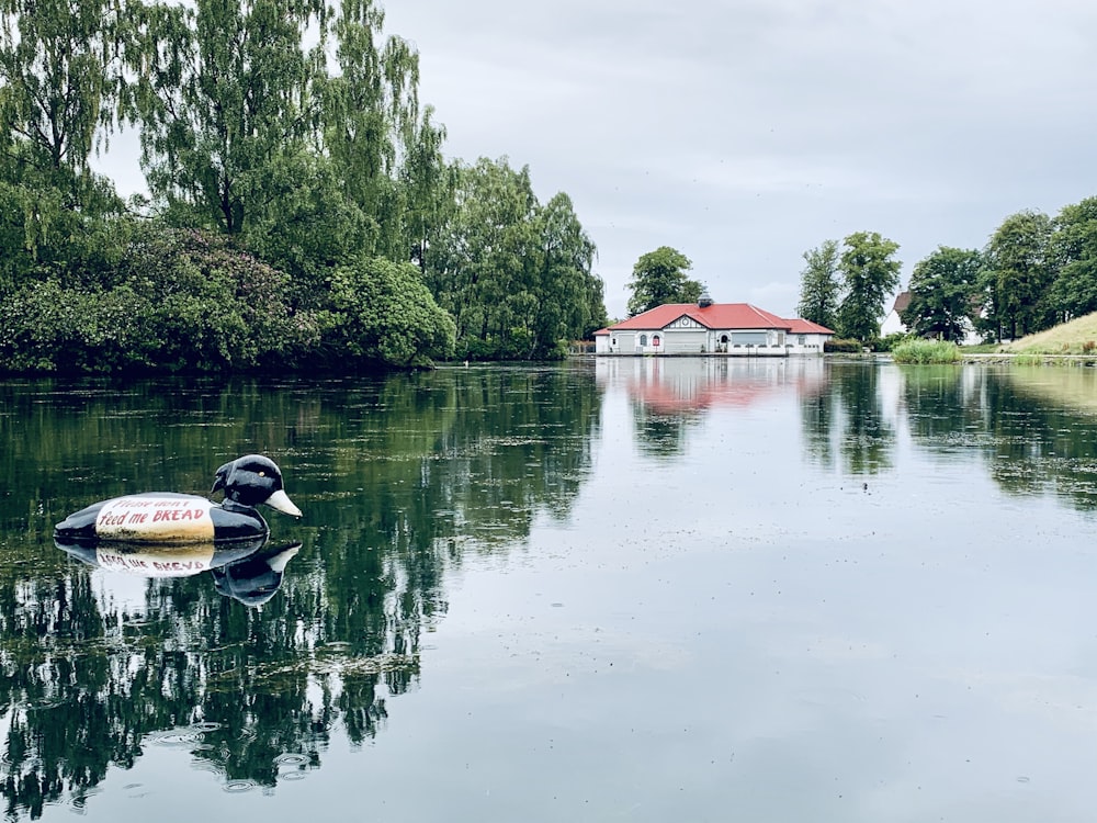 casa vermelha e branca ao lado do lago cercada por árvores verdes durante o dia