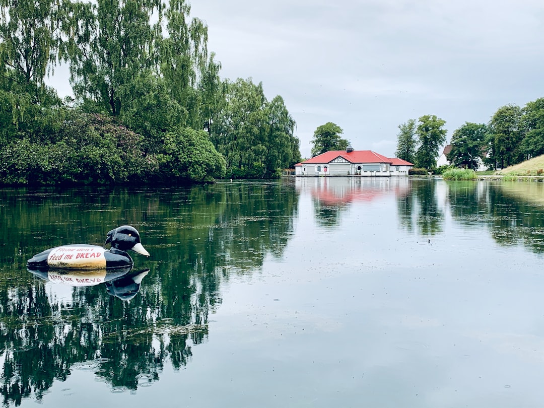 travelers stories about Waterway in Rouken Glen Park, United Kingdom