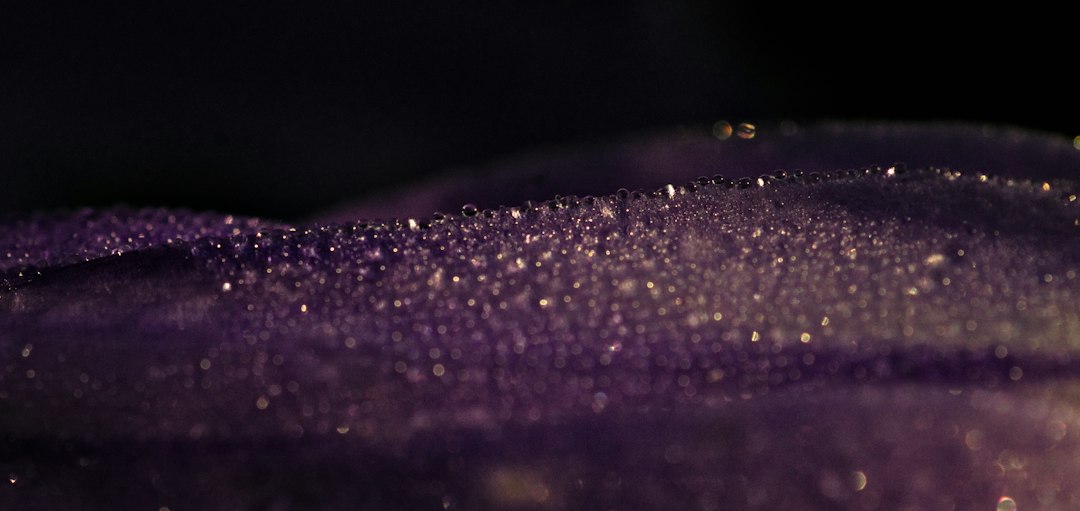 evening gown detail