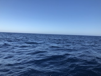 A serene ocean view representing trust and peace of mind.