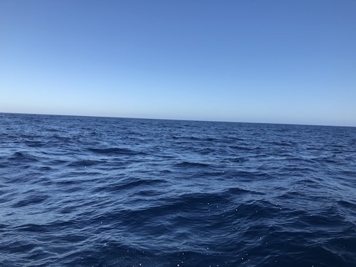 A serene ocean view representing trust and peace of mind.