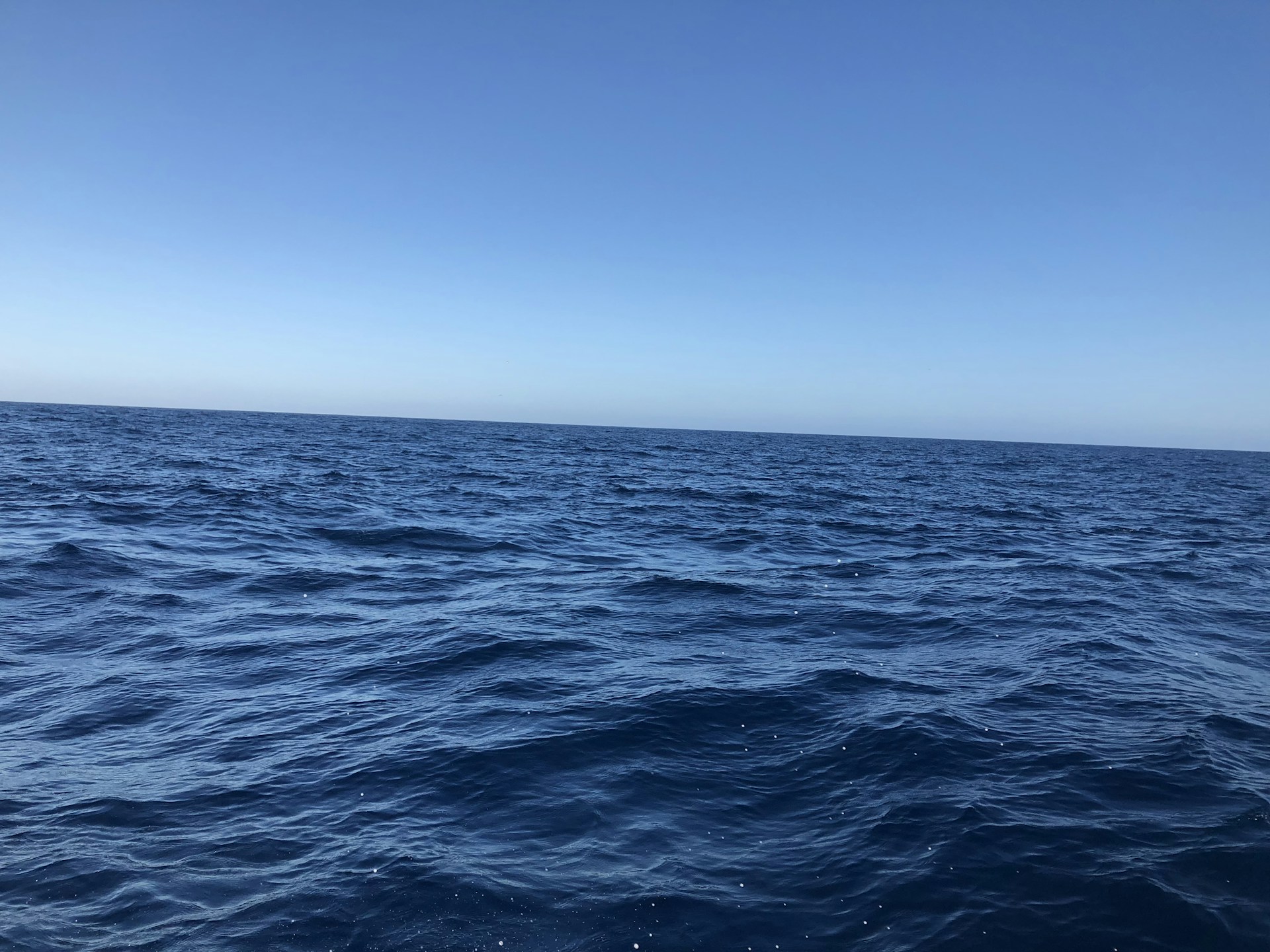 woman wearing yellow long-sleeved dress under white clouds and blue sky during daytime