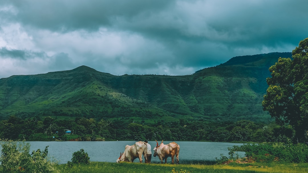 travelers stories about Hill station in Bhor, India