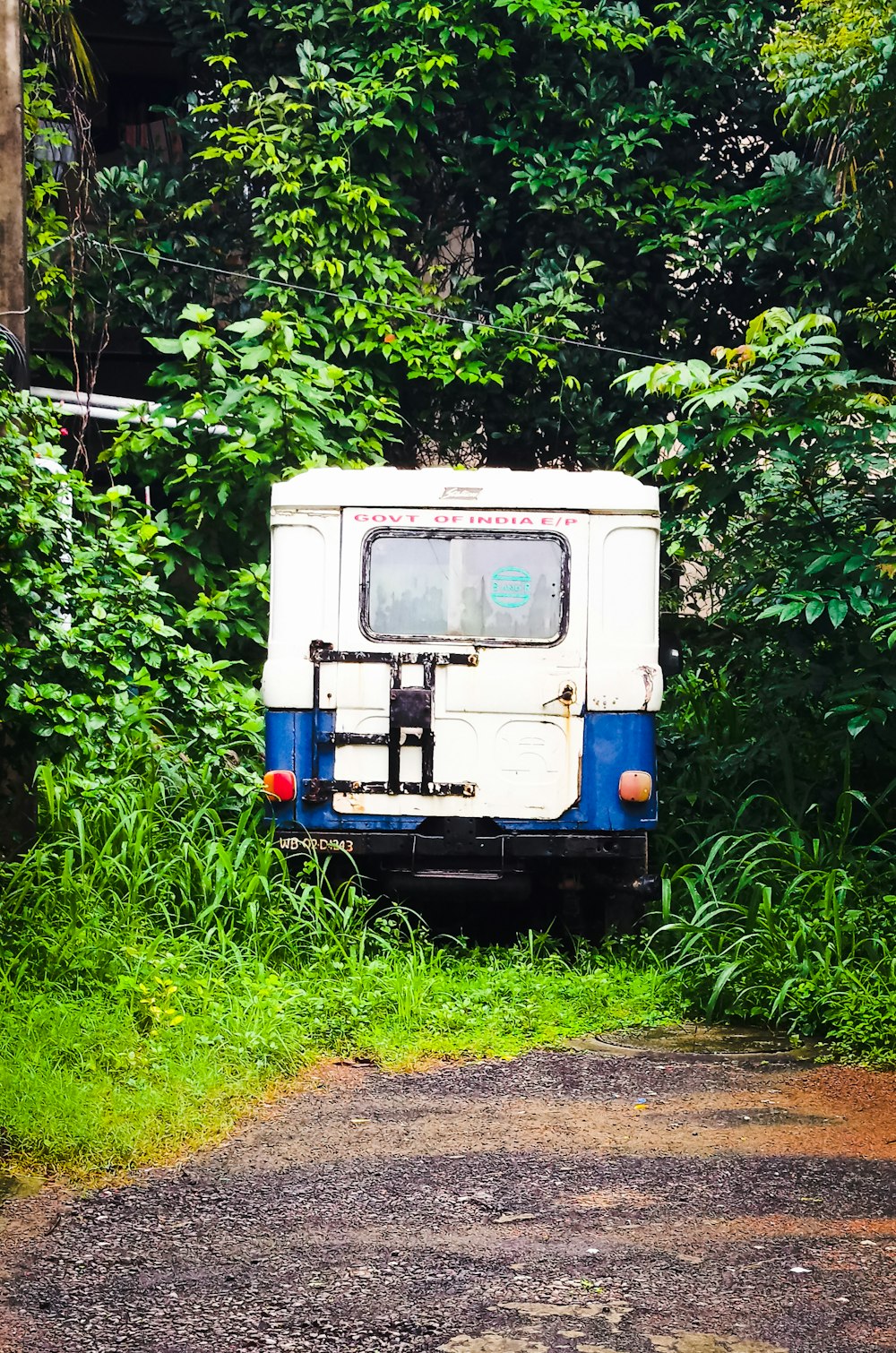 white and blue van in forest during daytime