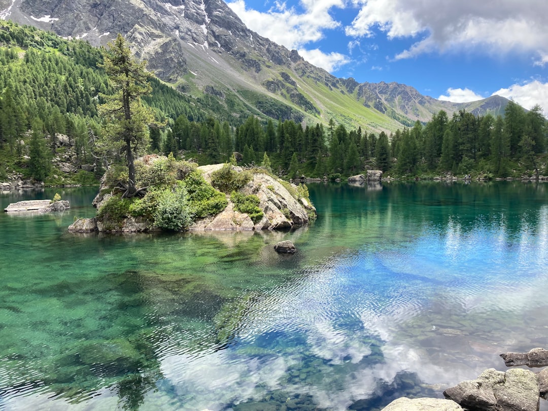 Hiking Heaven: Exploring New Zealand&#8217;s Epic Te Araroa Trail