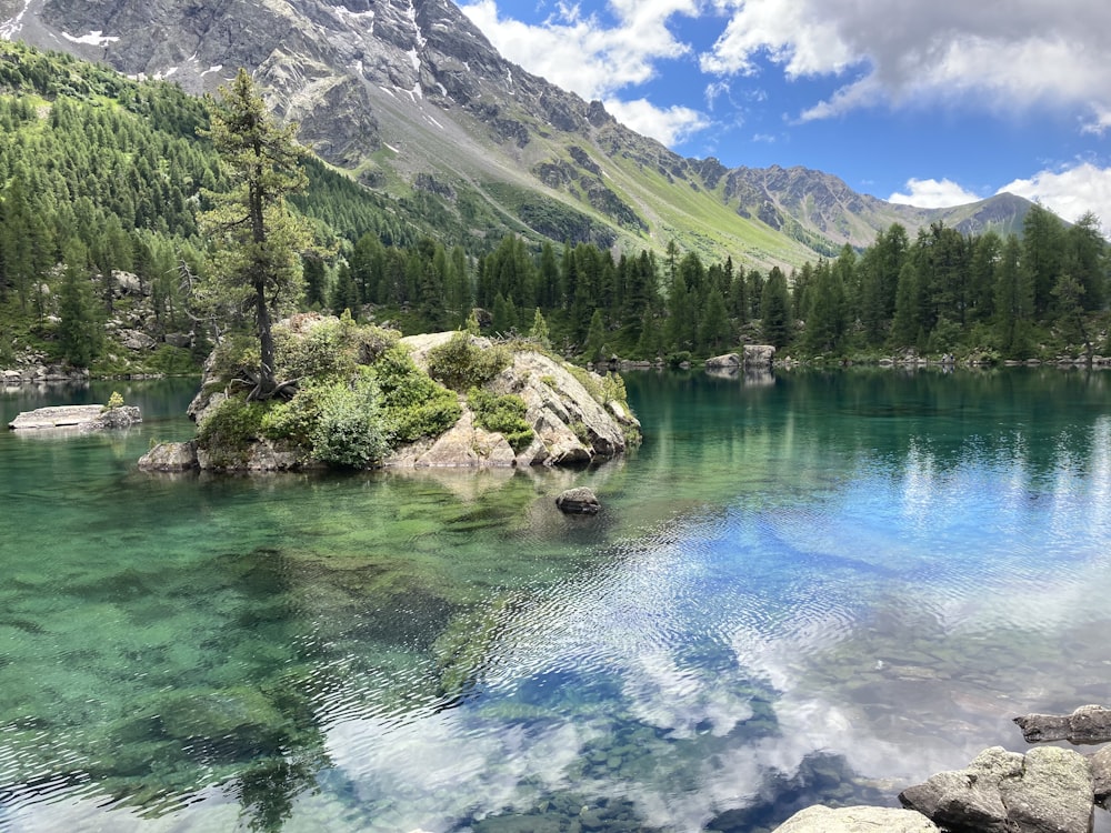 alberi verdi vicino al lago e alla montagna sotto il cielo blu durante il giorno