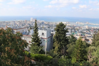 A panoramic view of a coastal cityscape featuring a blend of urban and natural elements. In the foreground, lush green trees and vegetation are visible, with residential buildings partially obscured among the foliage. The middle ground showcases a densely built city with numerous buildings, some high-rises, and solar panels on rooftops. The background features a vast expanse of blue sea with ships visible in the water, under a sky scattered with clouds.