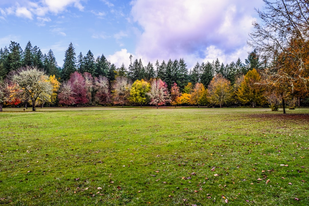Exploring Oregon's Natural Wonders A Multimodal