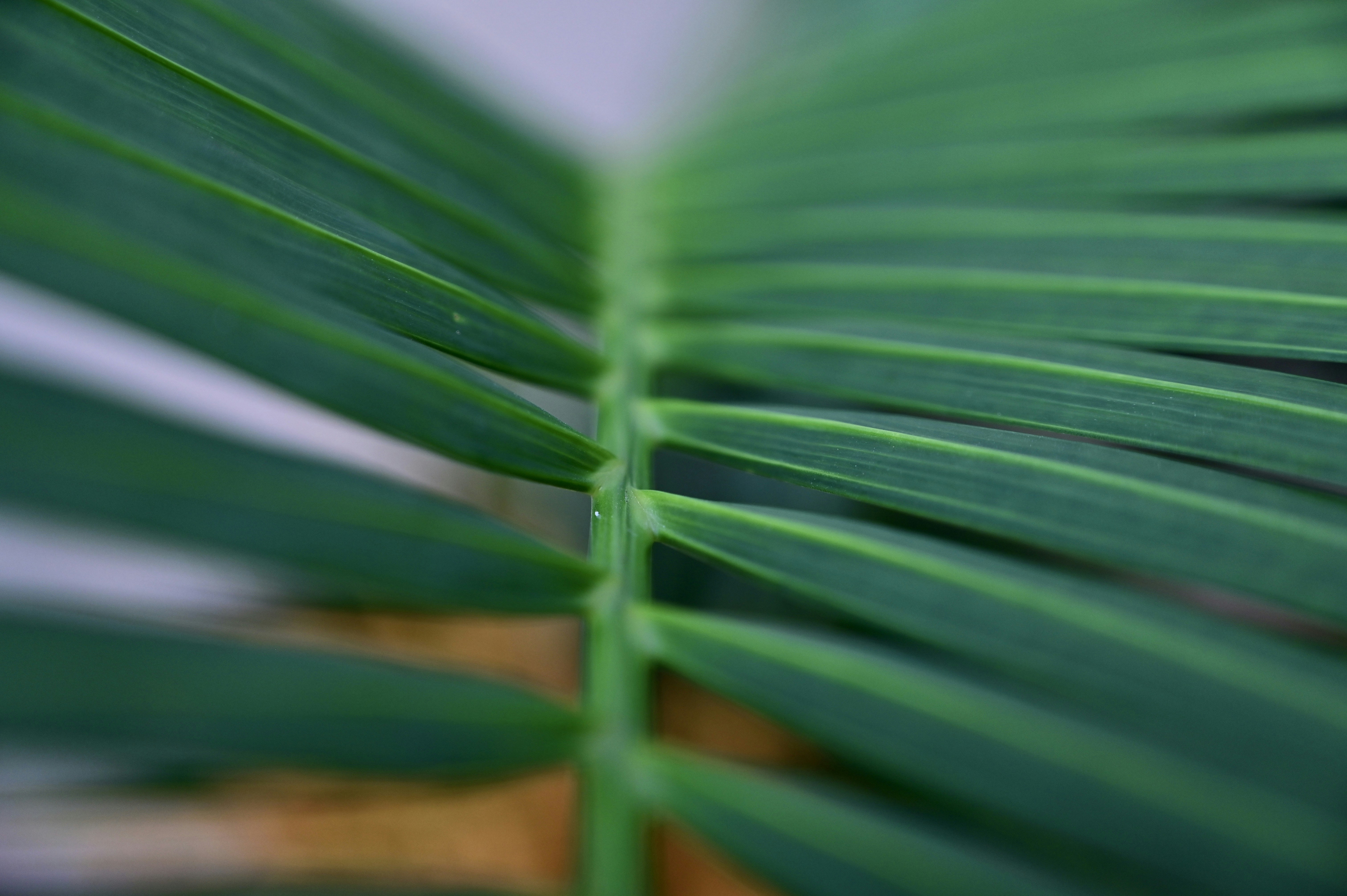 Photo by rrajputphotography