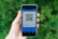 A hand holding a smartphone displaying a QR code. The screen has a blue interface with text indicating it is for a payment application. The background is filled with blurred green foliage.