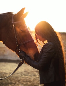 A person with long, curly hair leans in to gently touch noses with a brown horse. The warm glow of the setting sun creates a serene and intimate atmosphere, highlighting the bond between the person and the horse. The person is wearing a black jacket and gloves.
