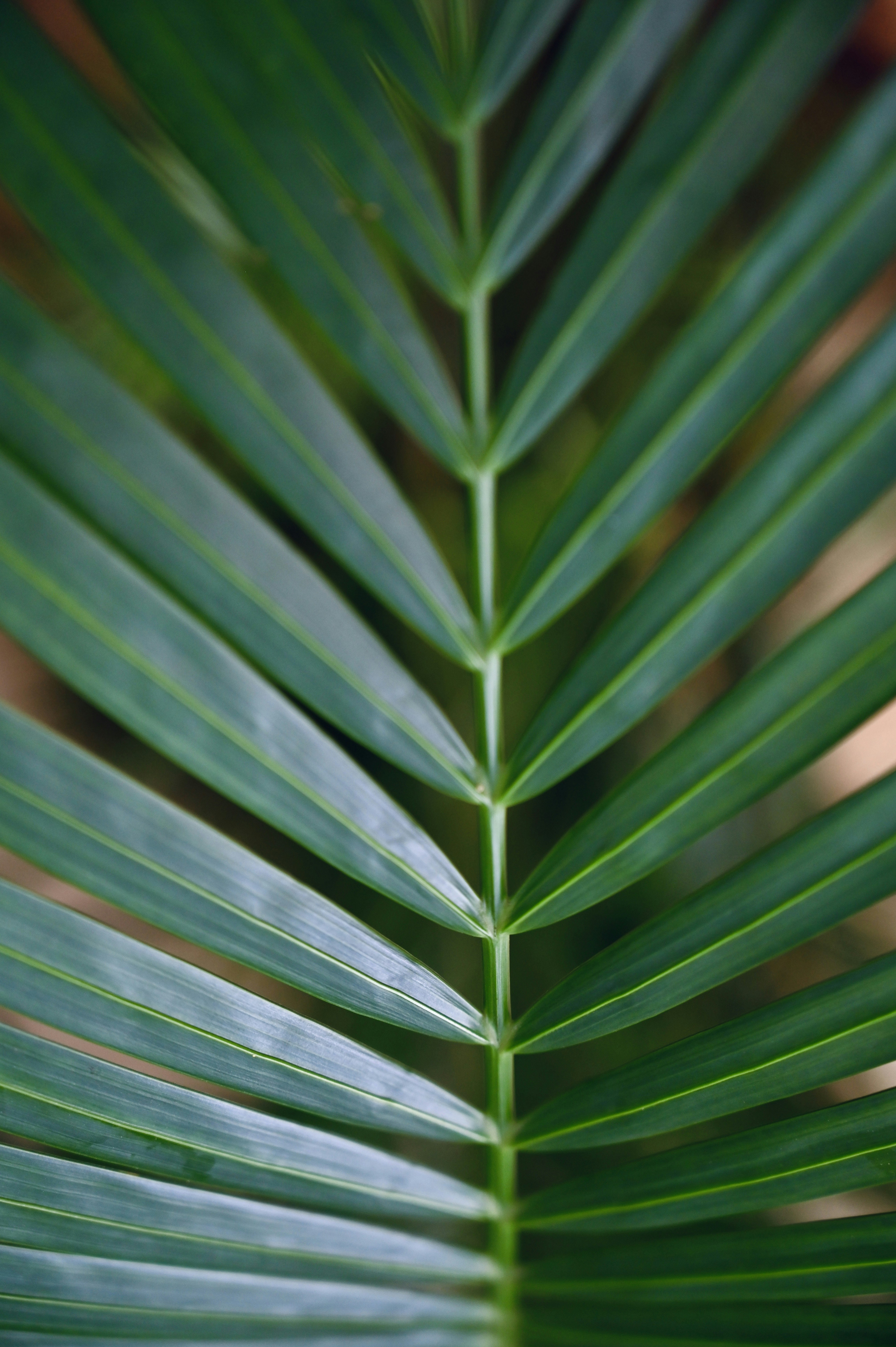 Photo by rrajputphotography