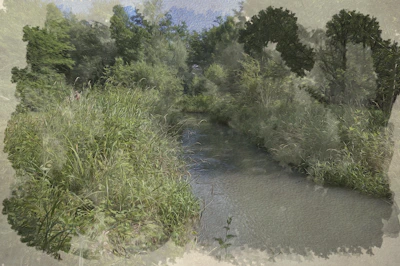 A serene landscape of the Casamance river surrounded by lush greenery.