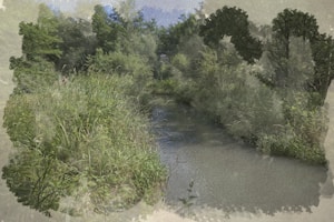 A serene landscape featuring a lush, green riverbank with dense vegetation. Tall grasses and trees are abundant, creating a natural and tranquil environment. The river gently winds through the scene, reflecting the clear blue sky above.