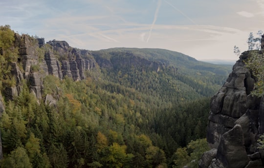 green trees on mountain under blue sky during daytime in Saxon Switzerland National Park Germany