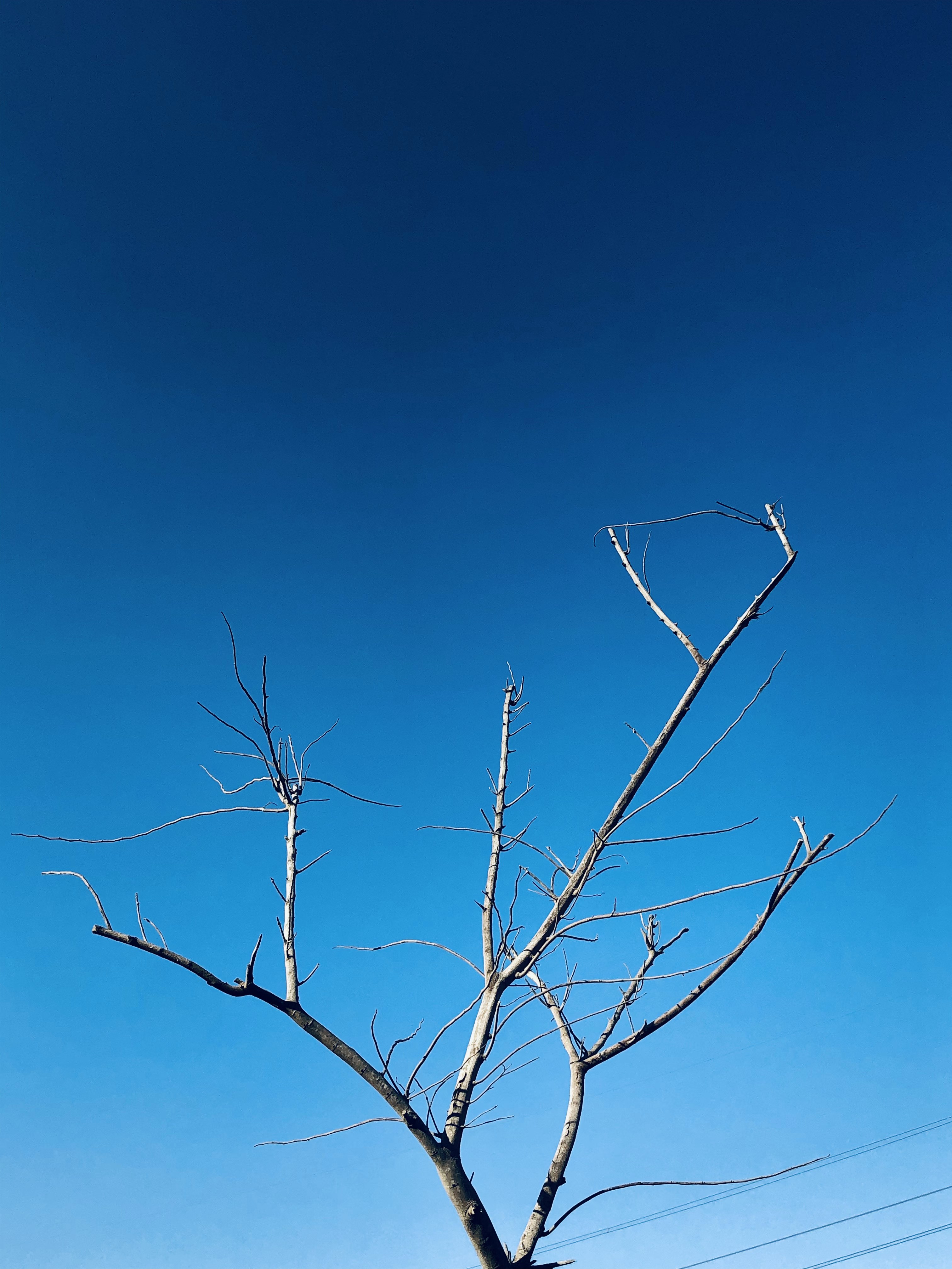 Photo by k4reemmoustafa