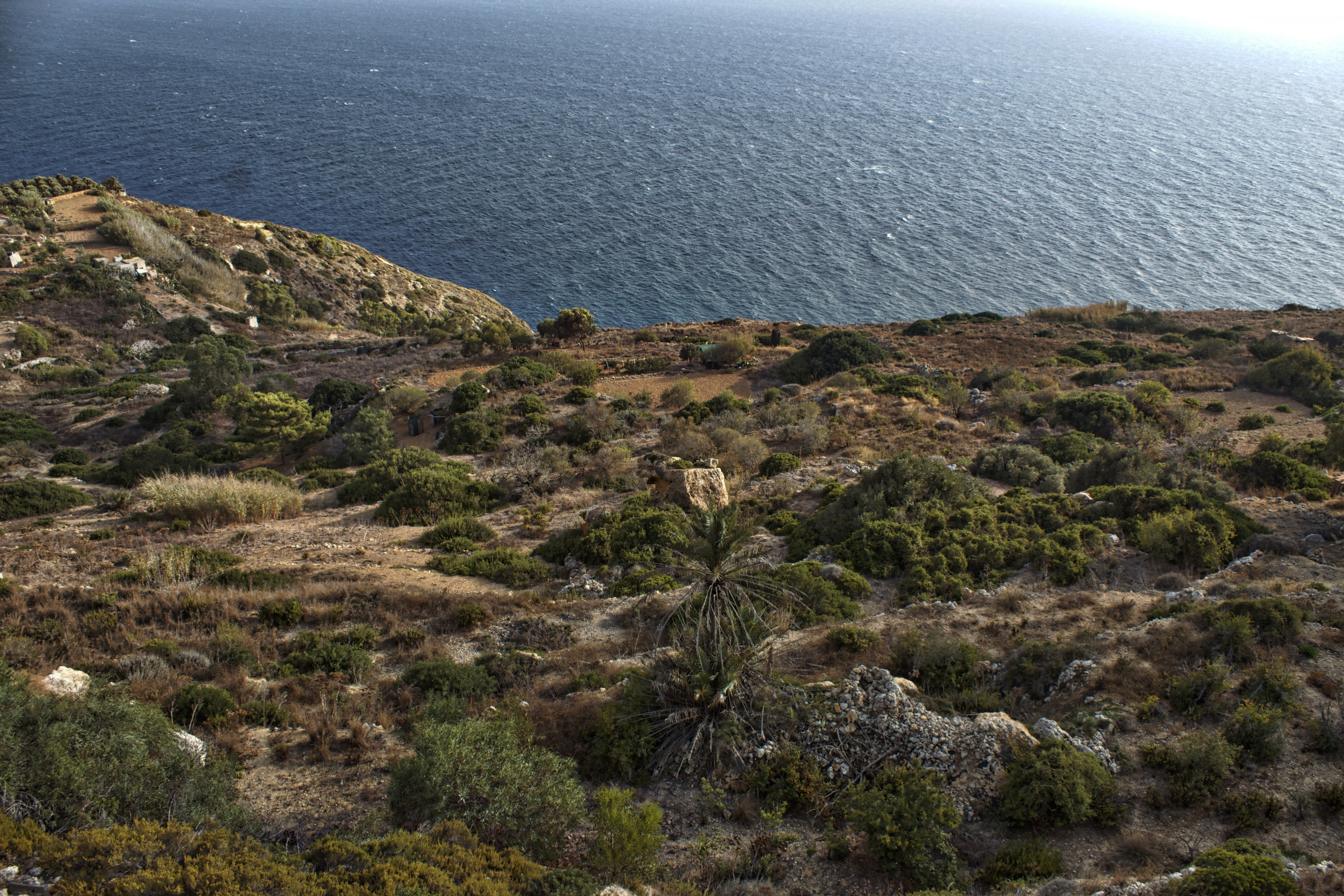 green grass field near body of water during daytime
