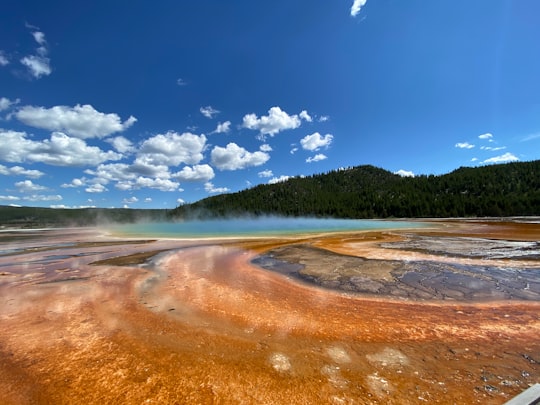 green trees and brown field under blue sky and white clouds during daytime in Grand Prismatic Spring United States
