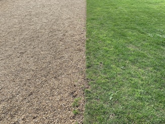 A friendly expert discussing lot split options with a homeowner over blueprints.