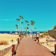 brown wooden pathway on beach during daytime