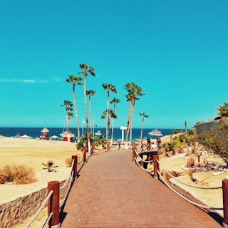 brown wooden pathway on beach during daytime