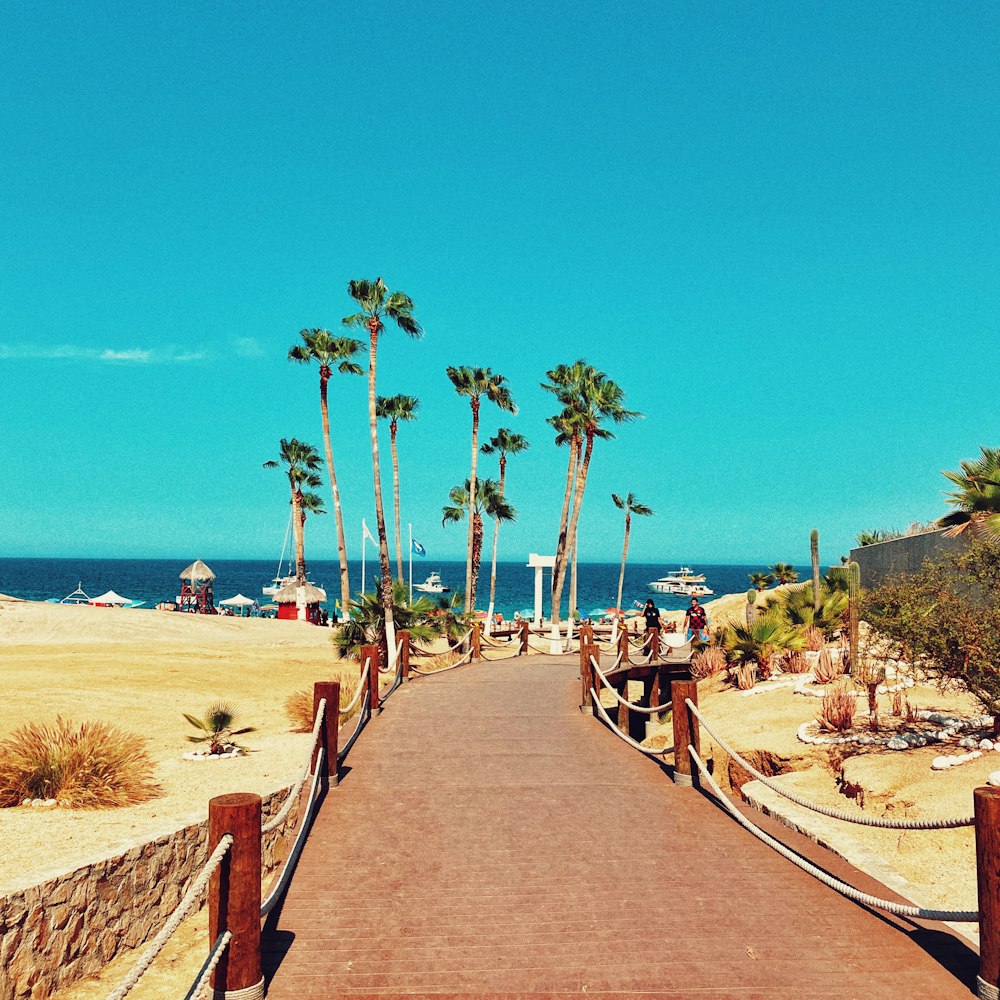 brown wooden pathway on beach during daytime