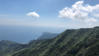 A panoramic view of lush green mountains meeting the deep blue ocean under a clear sky.