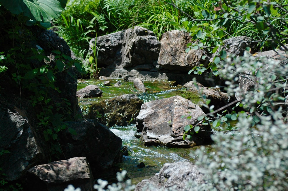 Rocas grises en el río durante el día