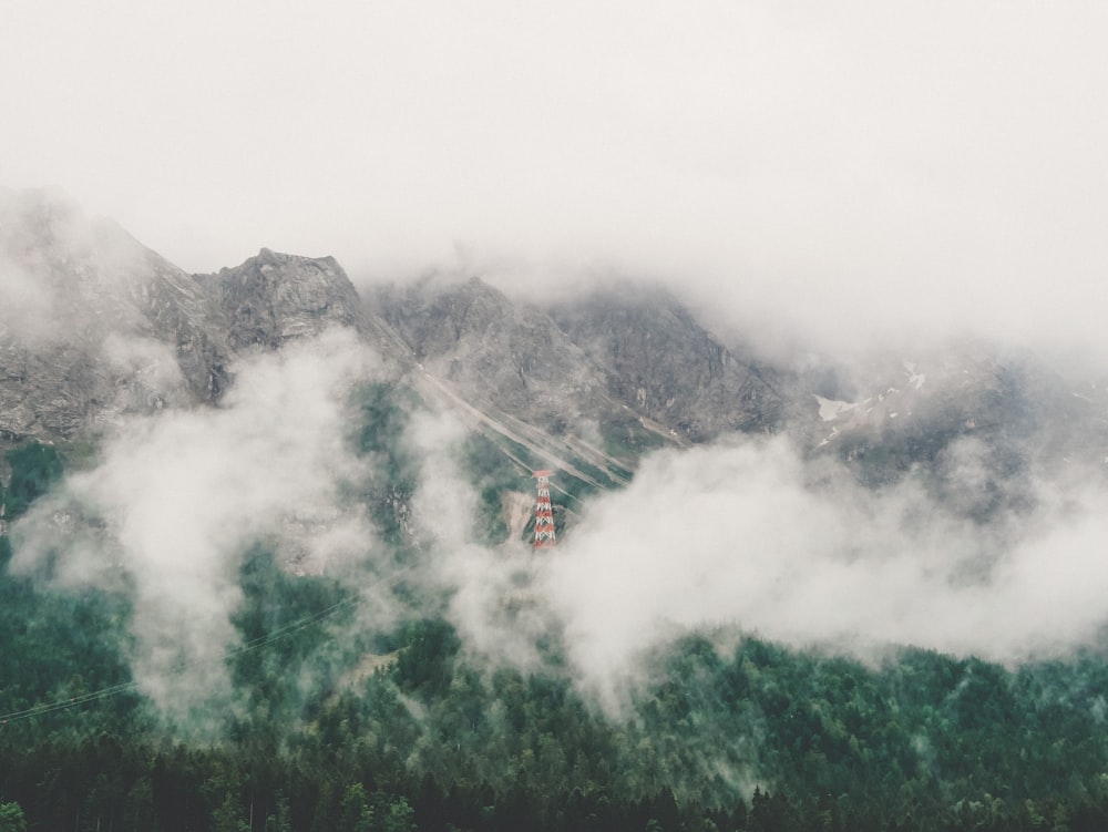 green trees on mountain under white clouds during daytime