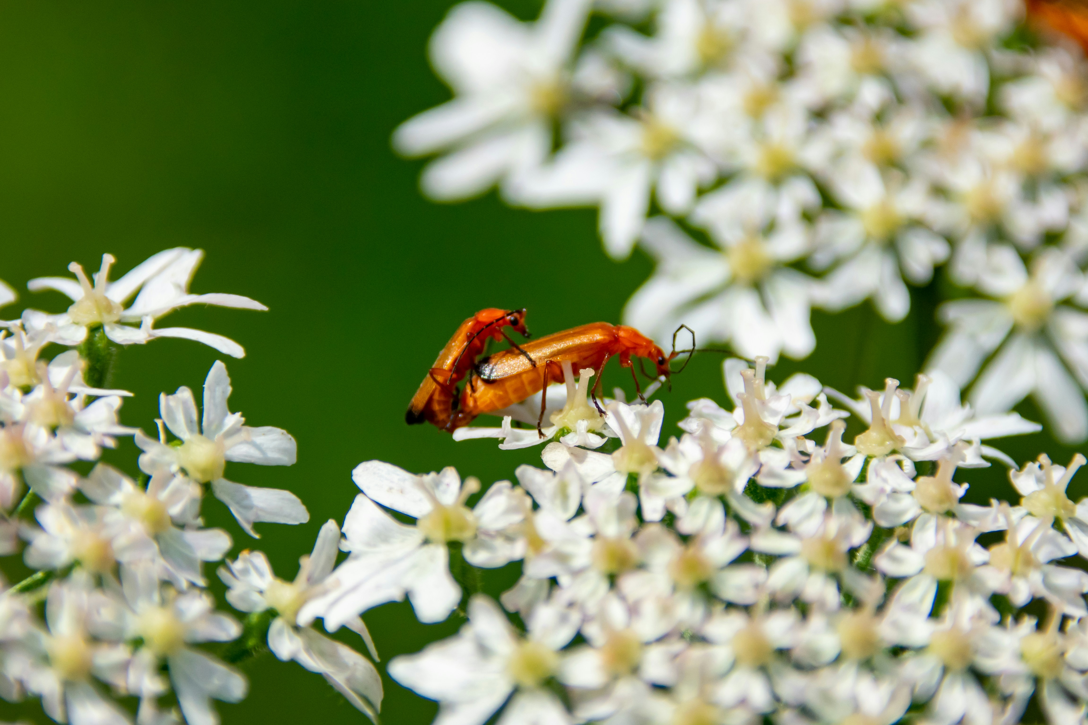 Photo by marc_renken