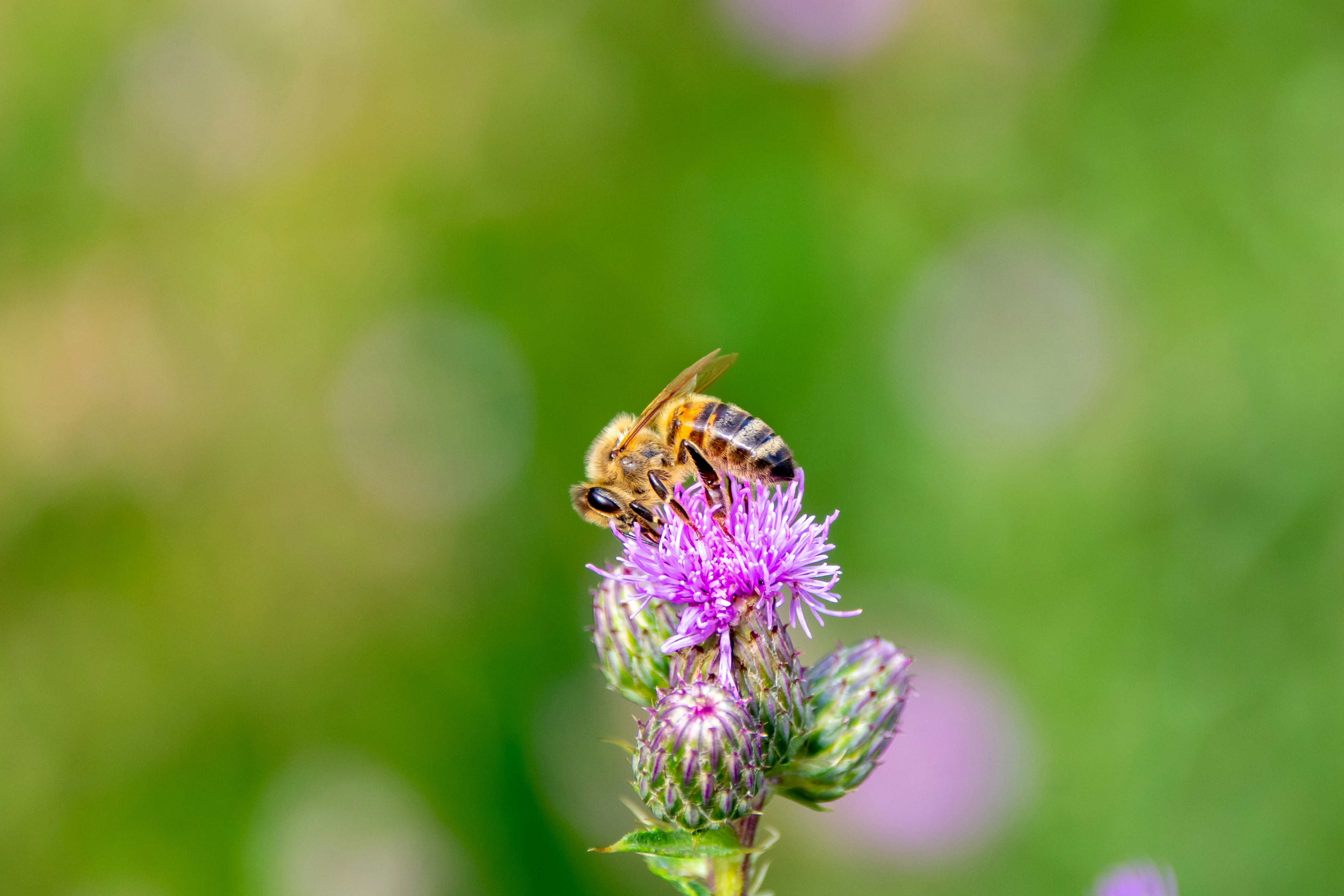 Photo by marc_renken