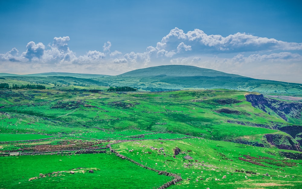 campo di erba verde sotto nuvole bianche e cielo blu durante il giorno