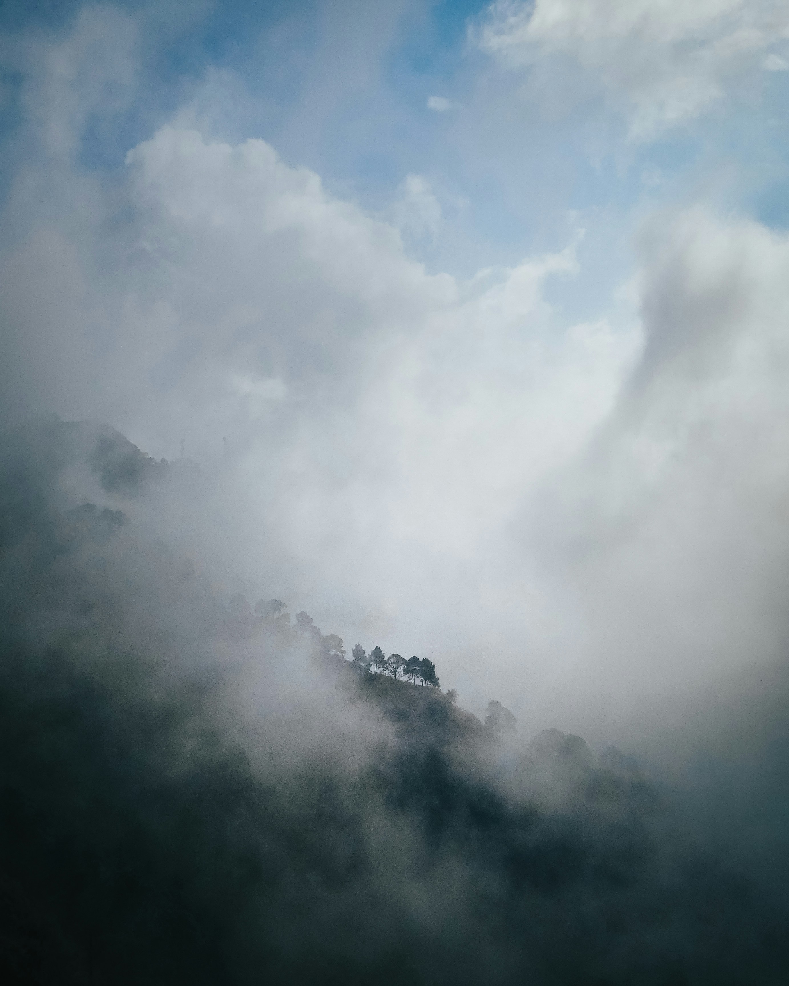 Photo by sharadmbhat