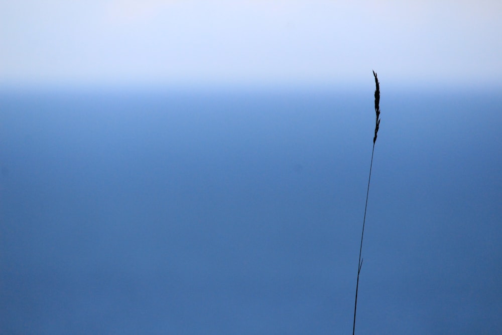 black stick on gray surface