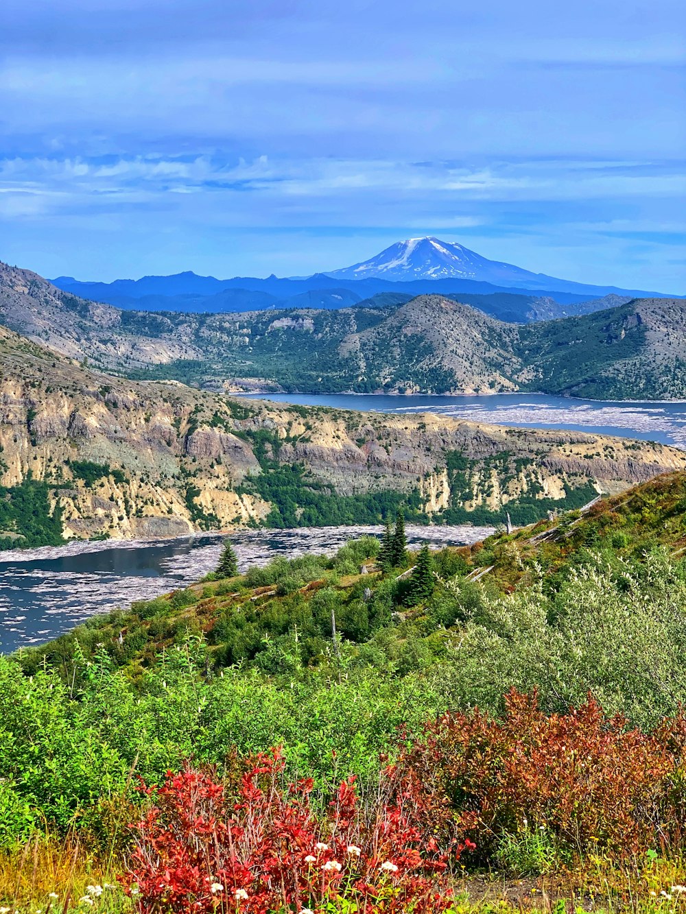 Campo di erba verde vicino al lago e alla montagna sotto il cielo blu durante il giorno