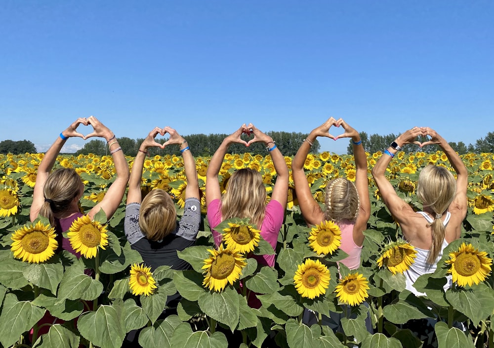 group of people on sunflower field during daytime