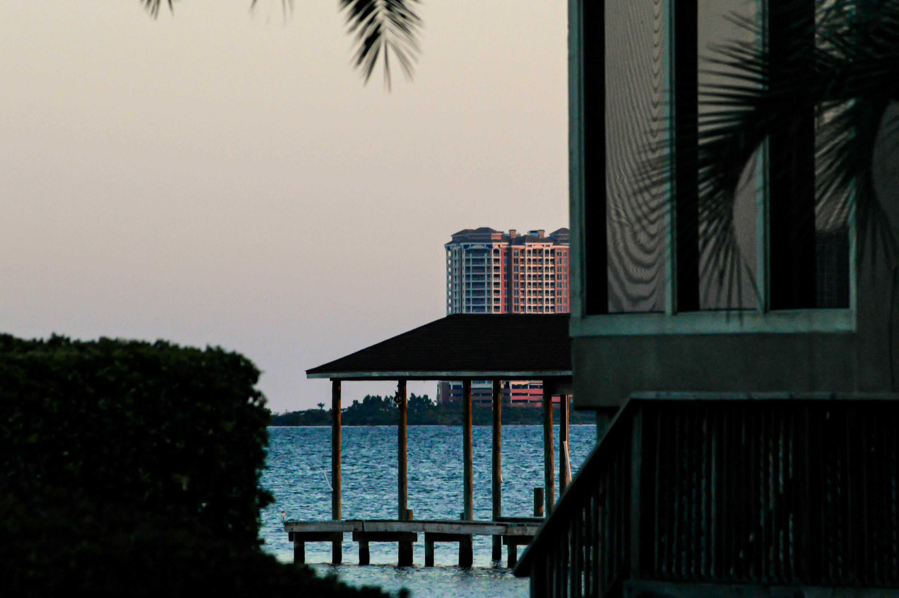 brown wooden dock near body of water during daytime