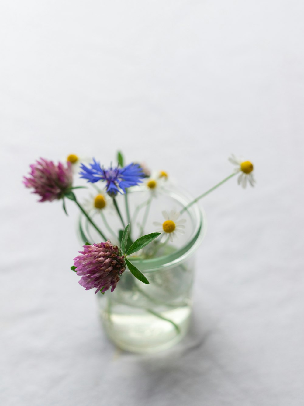 purple and white flowers in clear glass vase
