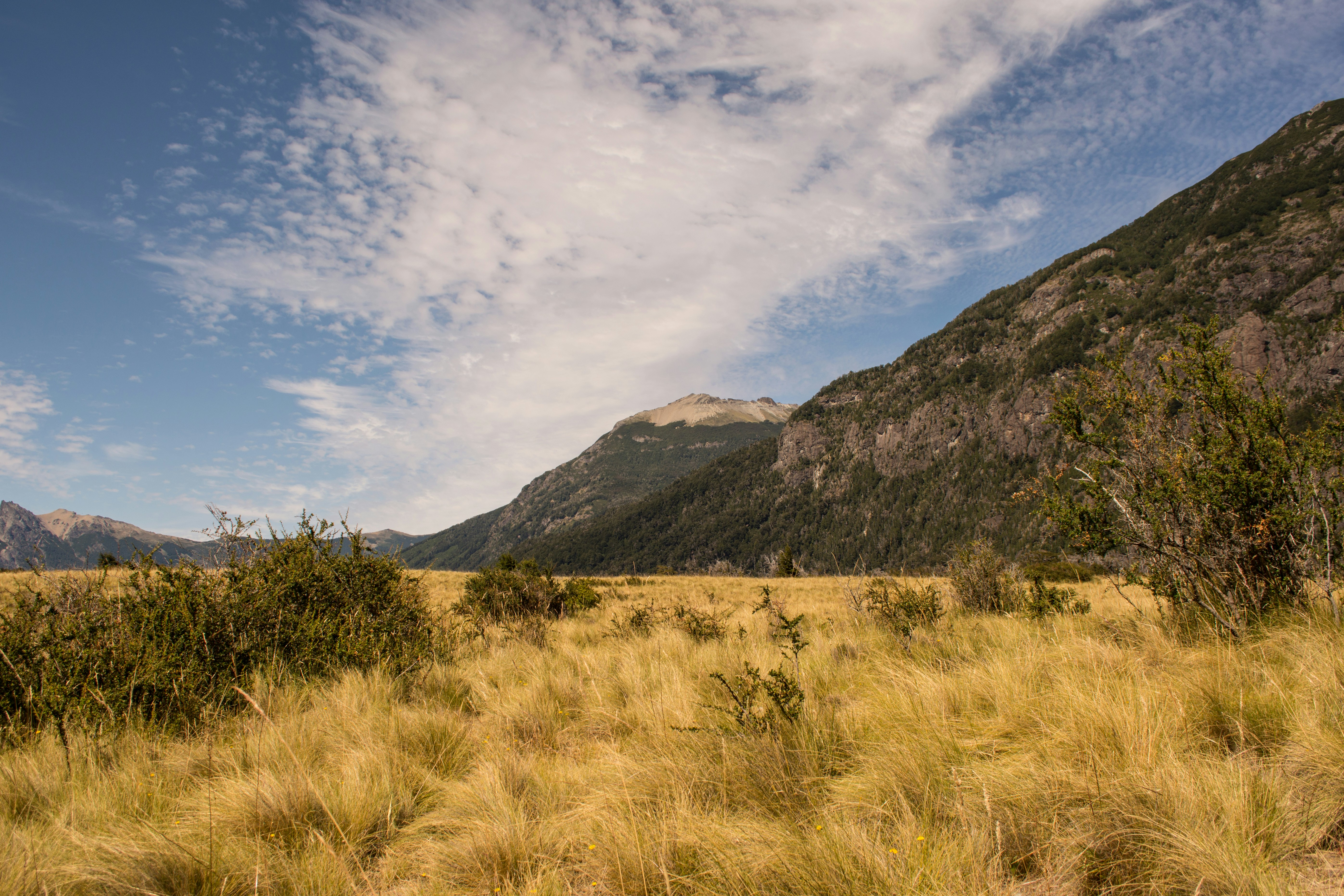 An accessible wooden boardwalk winding through the rugged, scenic landscape of a national park, demonstrating inclusive design in nature.