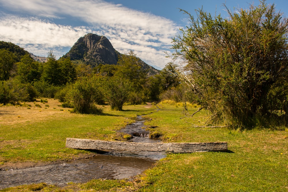 green grass field near lake and mountain under blue sky during daytime