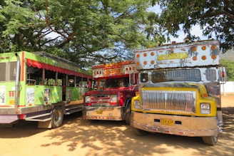 red and yellow bus on road during daytime
