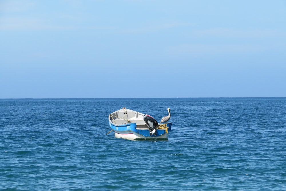 white and blue boat on sea during daytime