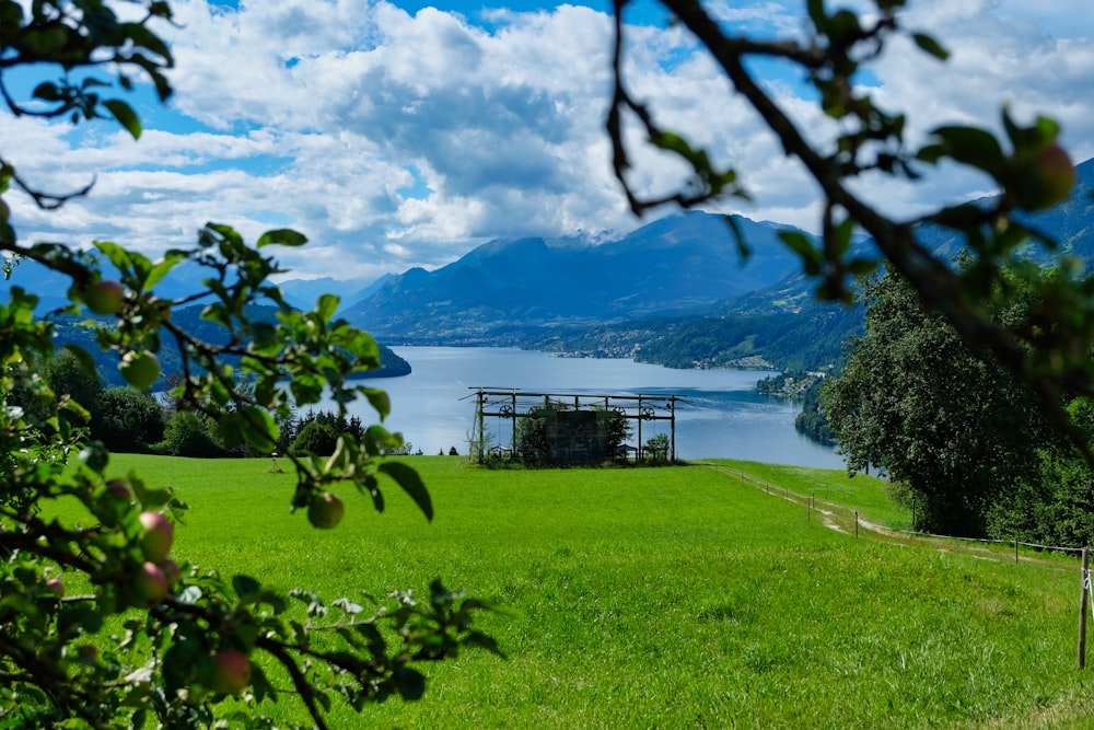 green grass field near body of water under white clouds during daytime