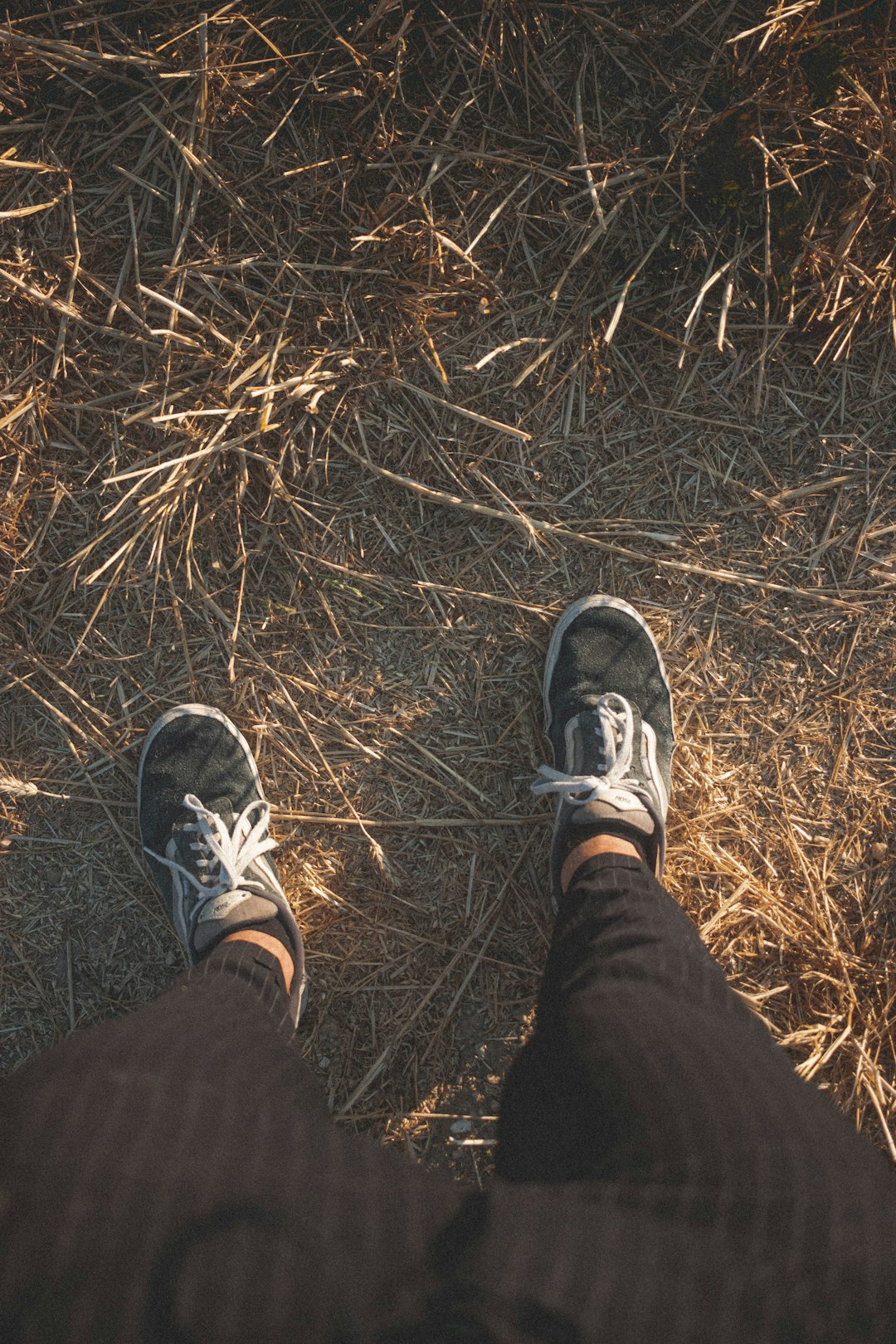 person wearing black pants and black and white nike sneakers