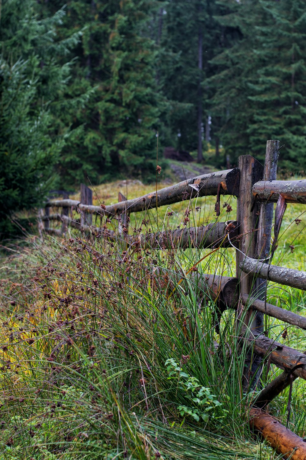 brown wooden fence on green grass field during daytime